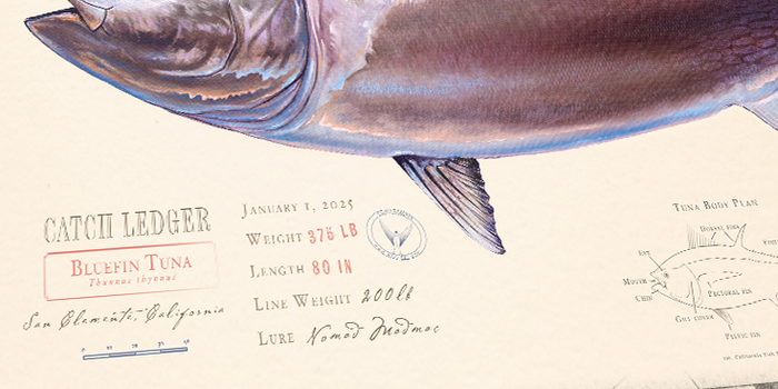Dorado (Mahi) Over Nautical Charts - Custom