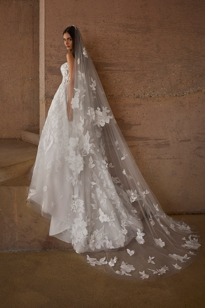 Xenia Veil